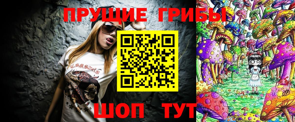 Псилоцибиновые грибы мицелий  Вход с VPN  Тулун  Псилоцибиновые грибы прущие грибы 